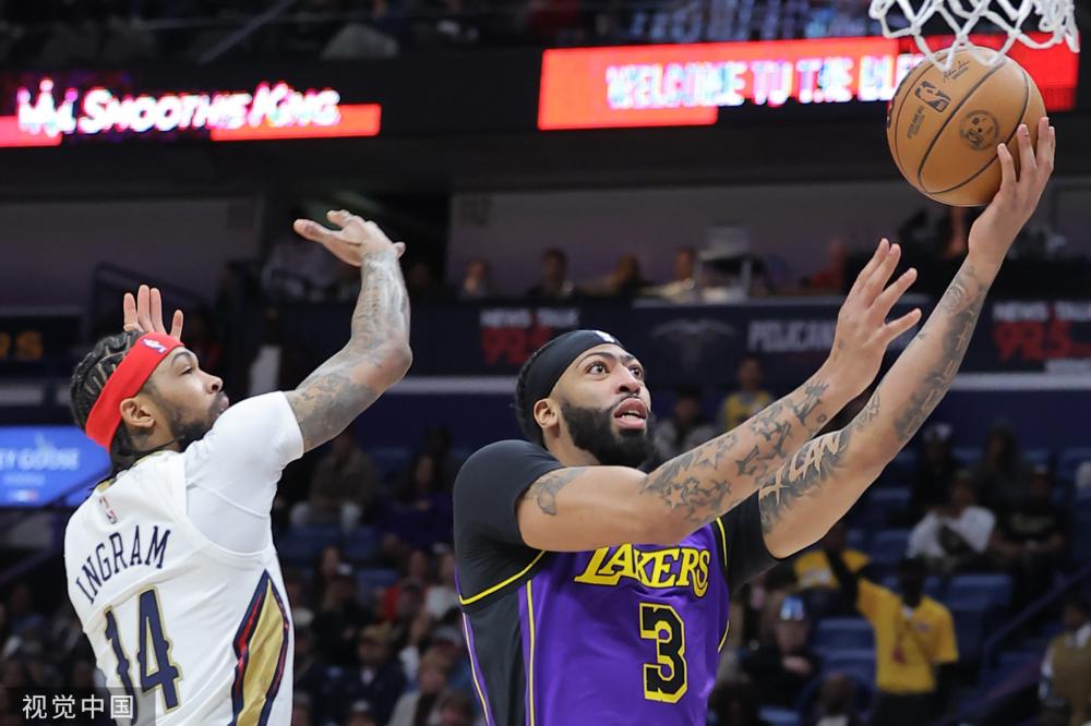 和观赏性 和观赏性