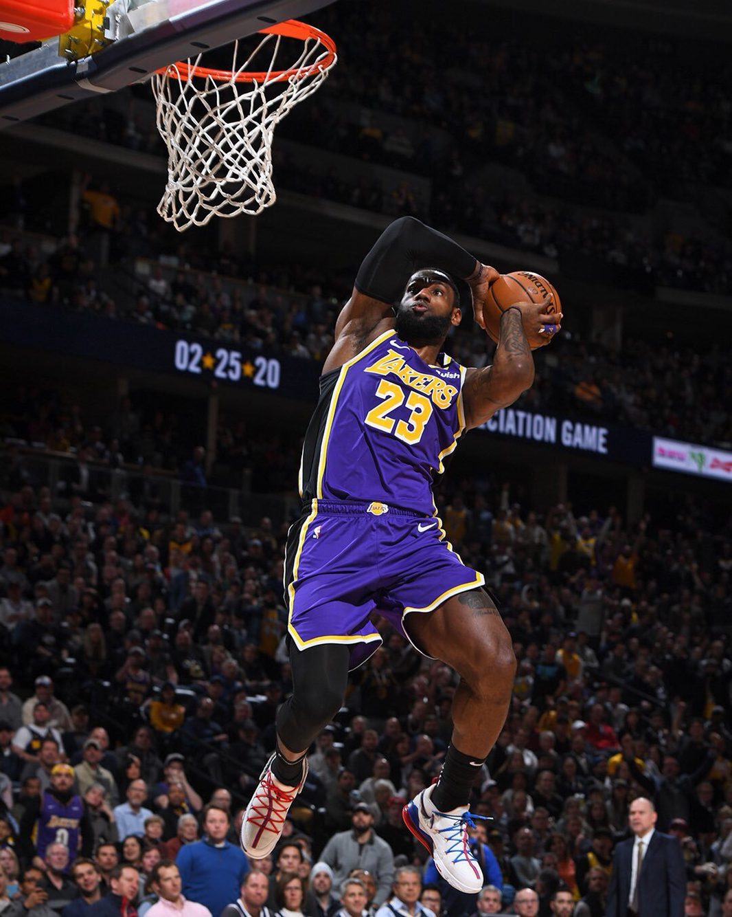 投入到游泳 投入到游泳